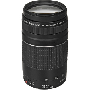 Canon EF 75-300mm f/4-5.6 III - Garanzia Canon 2 Anni