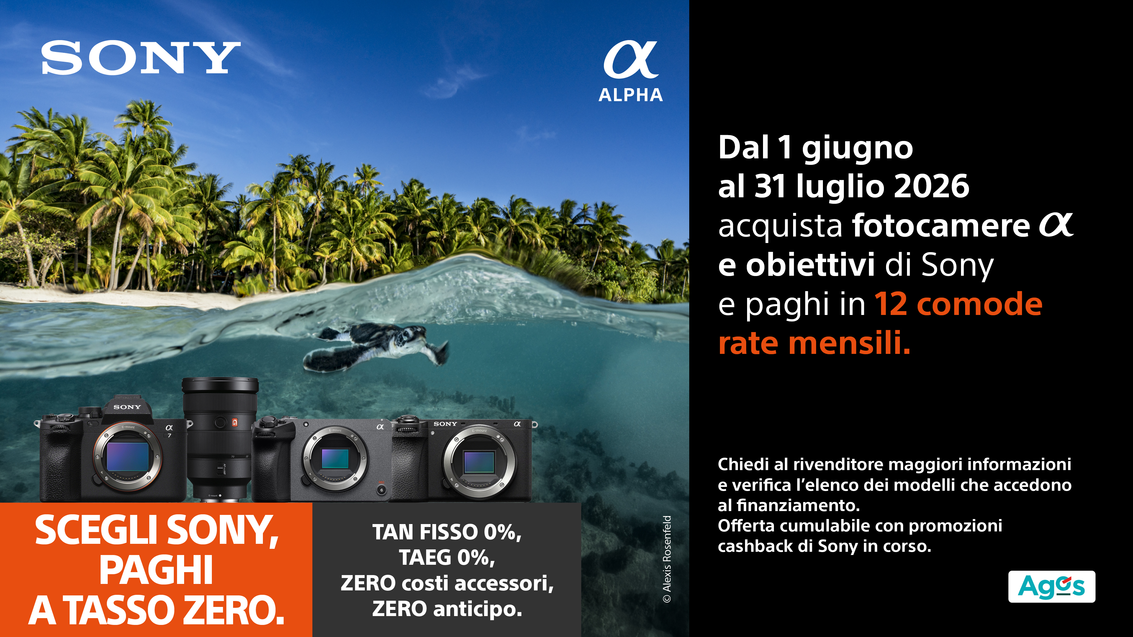 Tasso Zero SONY 12 Rate