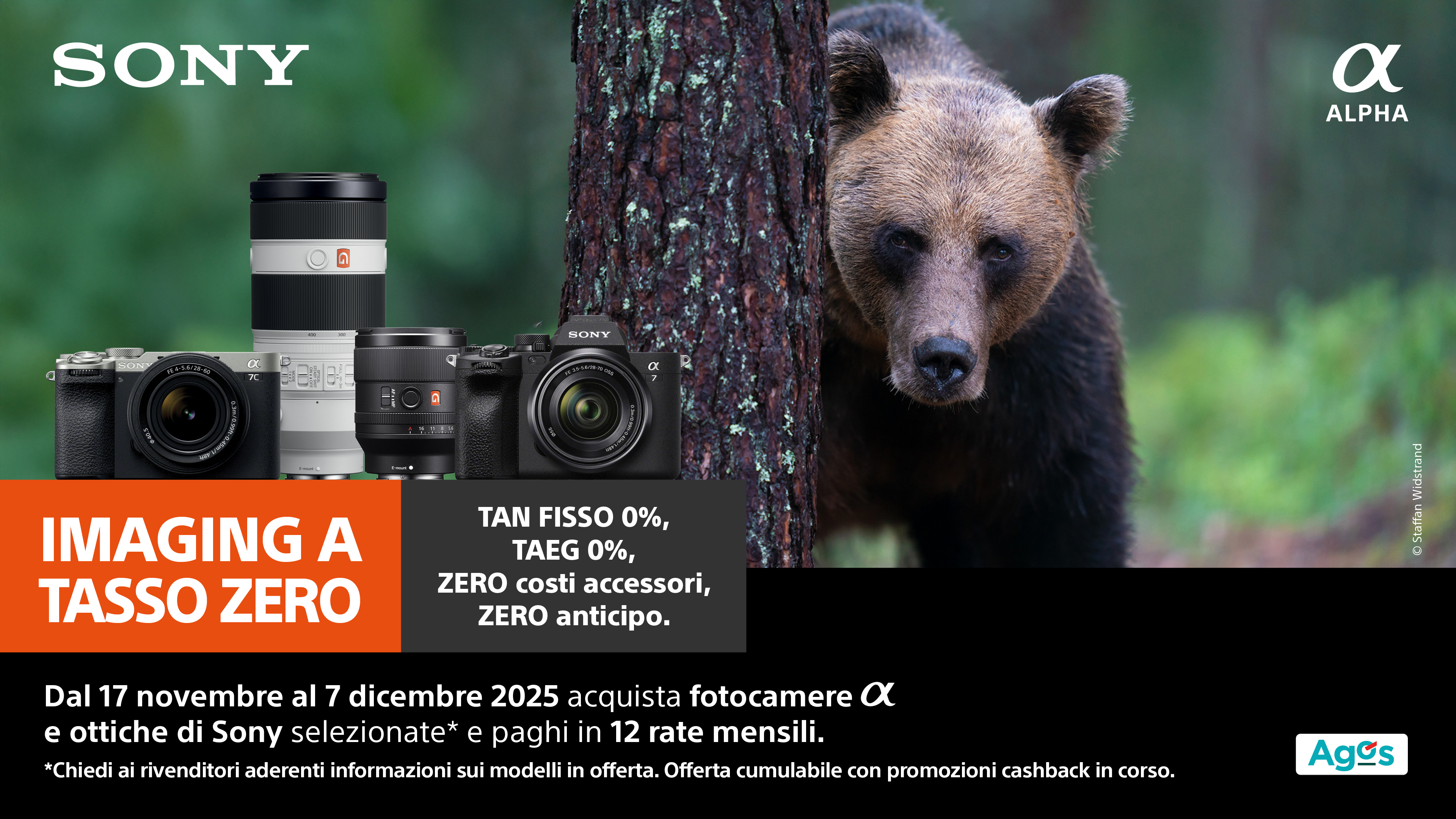 Tasso Zero Sony 12 Mesi